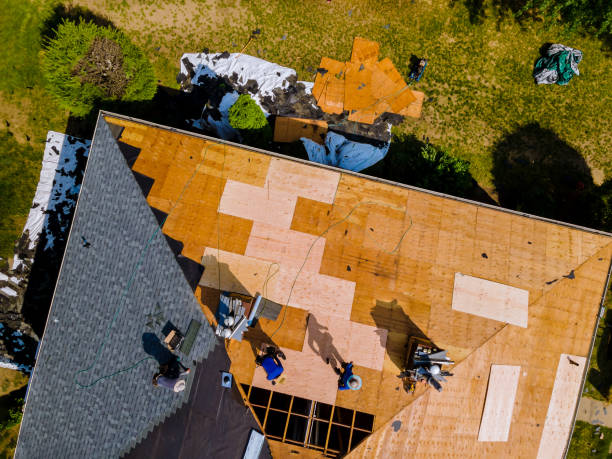 Best Storm Damage Roof Repair  in Port Lavaca, TX
